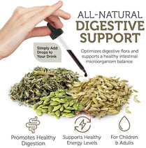 Zahler - ParaGuard Cleanse Liquid Drops - Gut Health Detox Supplement - Formula has Wormwood, Garlic Bulb, Pumpkin Seed, Clove & More - Natural Cleanse Detox for Humans - Certified Kosher (4 Oz)